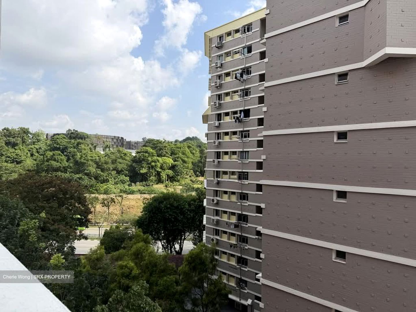 Blk 408 Bukit Batok West Avenue 4 (Bukit Batok), HDB 3 Rooms #588121301